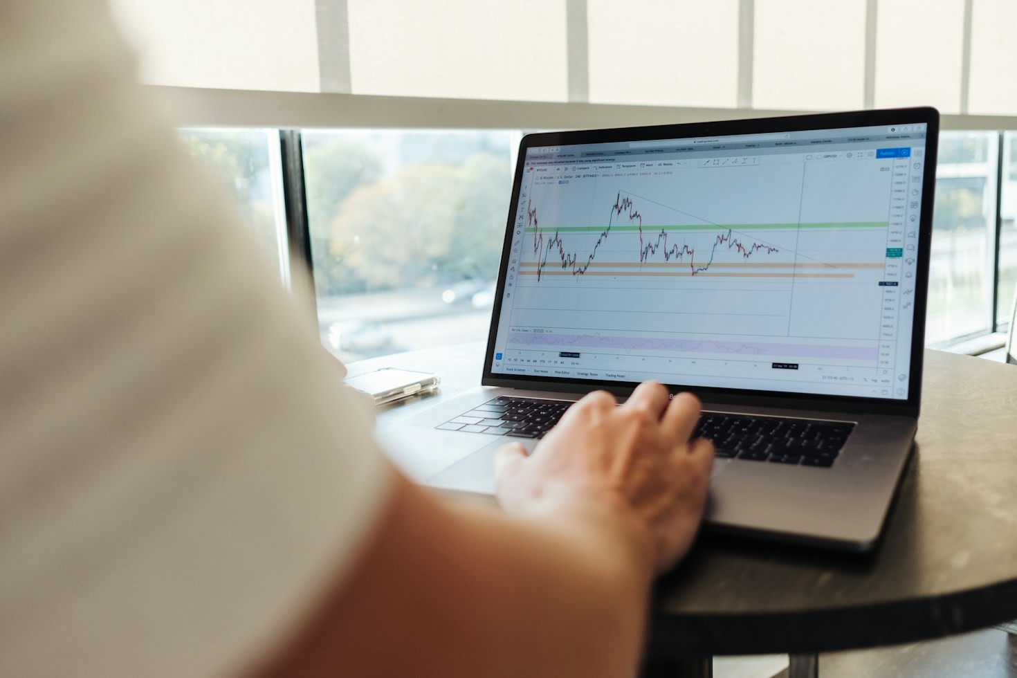 Nine Paw Prints: My Morning Routine Before Trading